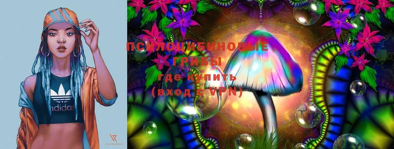 shop какой сайт  Островной  блэк спрут ТОР  Галлюциногенные грибы MAGIC MUSHROOMS  где продают  